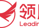 领雁科技-客户深度经营的推动者
